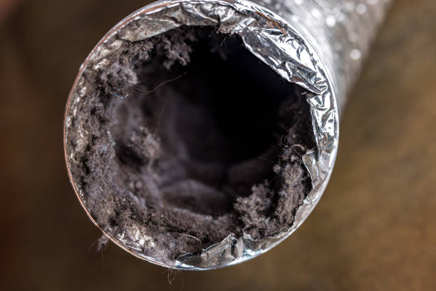 Best Duct Cleaning Specialists  in Citrus City, TX