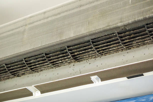 Best HVAC Air Duct Cleaning  in Citrus City, TX